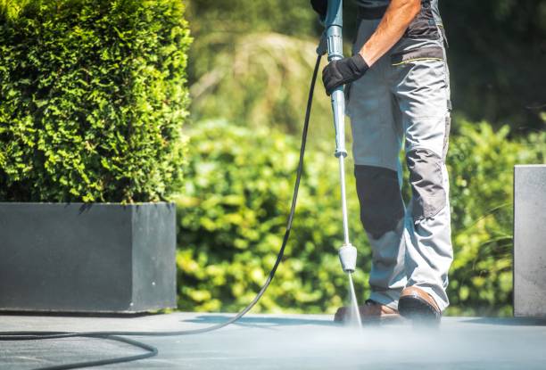 Best Animal Enclosure Cleaning  in Trenton, FL