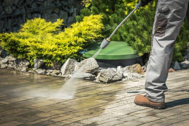 Best Fence Cleaning  in Trenton, FL
