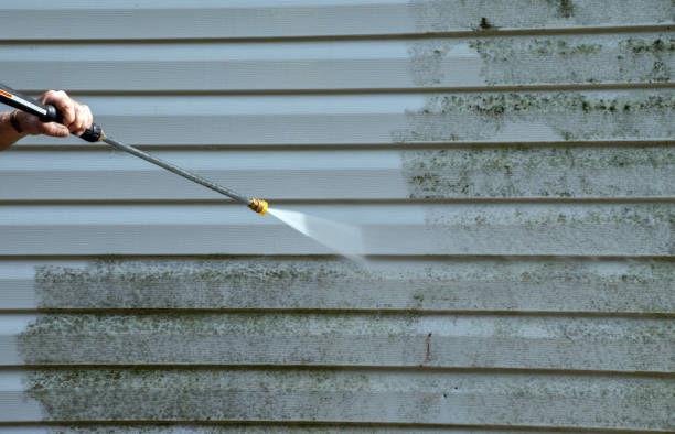 Best House Exterior Washing  in Trenton, FL