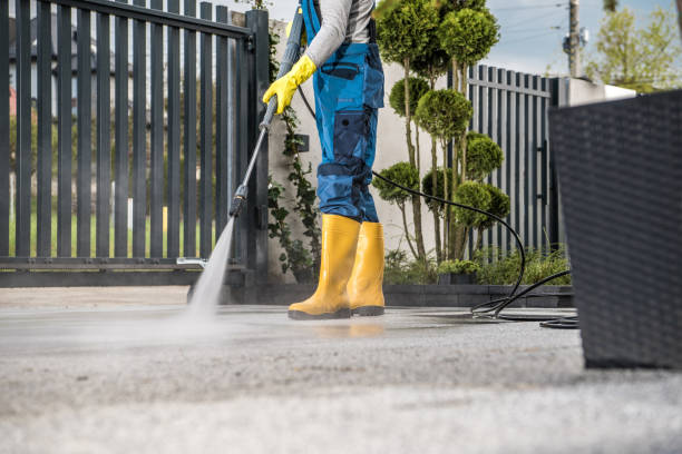 Best Gutter Cleaning  in Trenton, FL