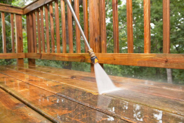 Best Building Exterior Washing  in Trenton, FL